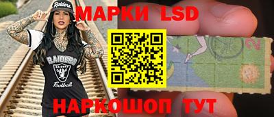 крисы Славгород