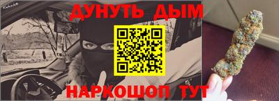 крисы Славгород