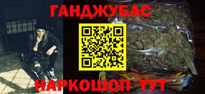 крисы Славгород