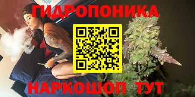 крисы Славгород