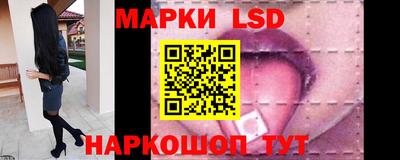 крисы Славгород