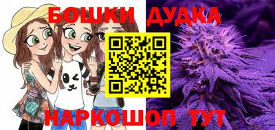 крисы Славгород