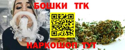 крисы Славгород