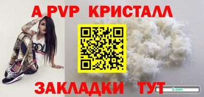 крисы Славгород