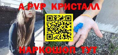 крисы Славгород