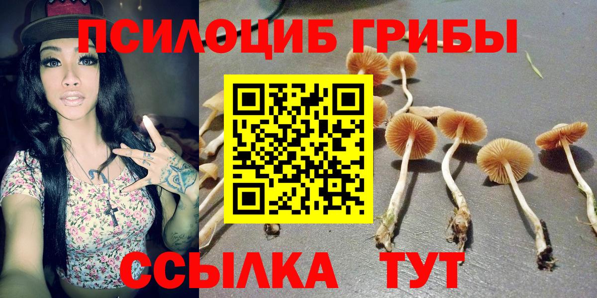 Новомосковск  Псилоцибиновые грибы Psilocybine cubensis  Вход с VPN 